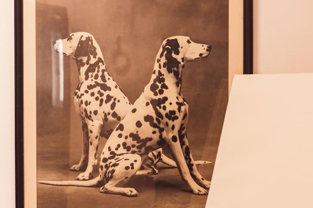 Art Studio Myslym Shyri تيرانا المظهر الخارجي الصورة